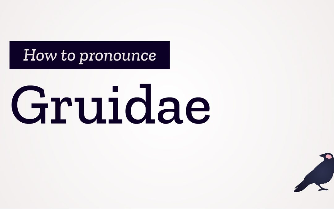 How to Pronounce Gruidae