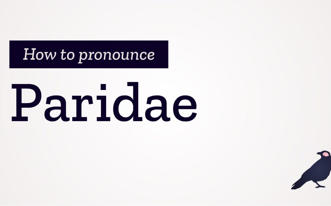 How to Pronounce Paridae