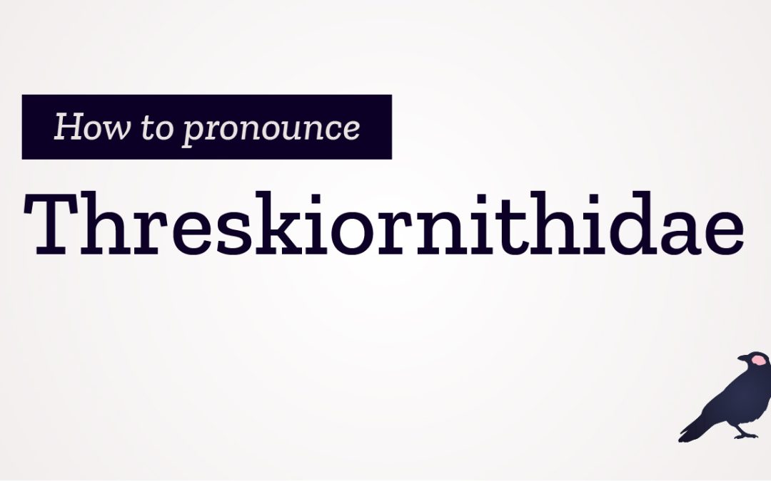 How to Pronounce Threskiornithidae