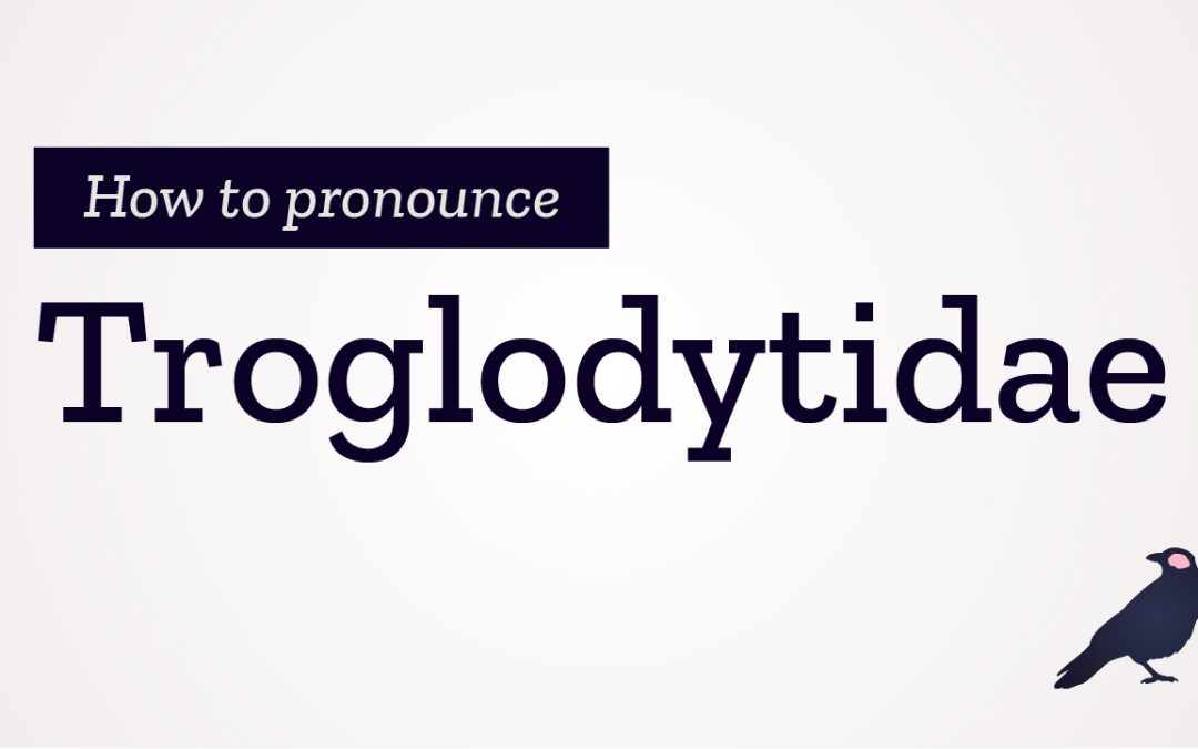 How to Pronounce Troglodytidae